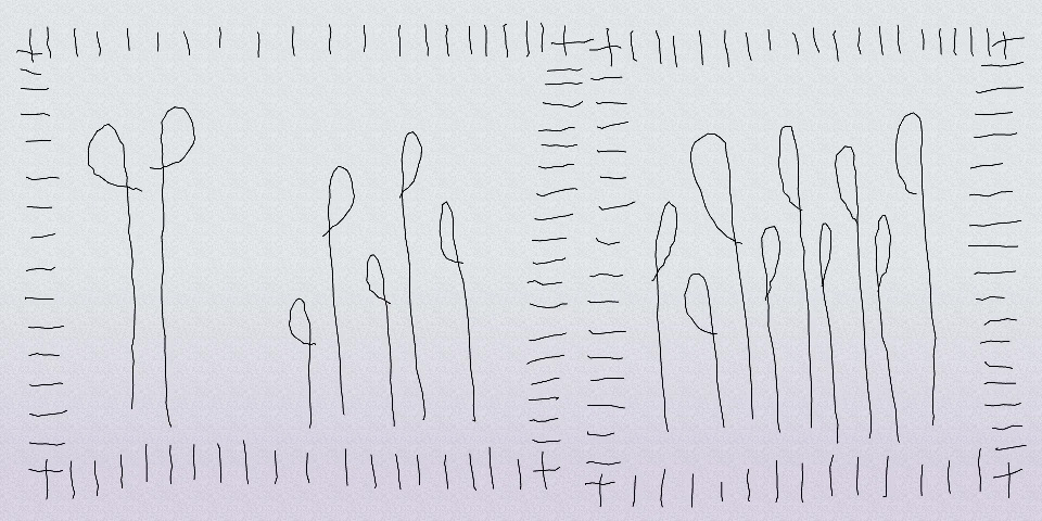 frame from the animation